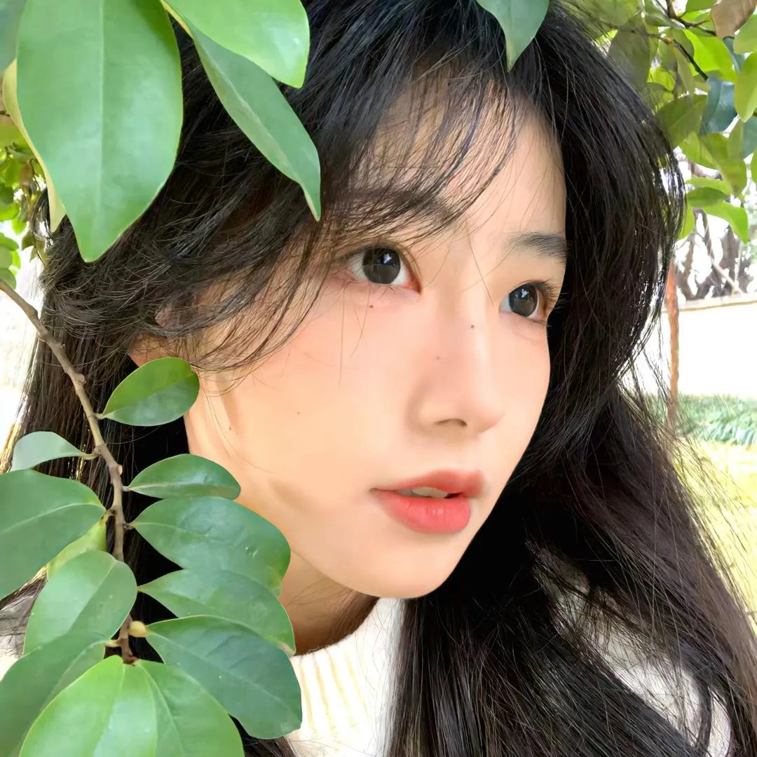 陈辰全明星